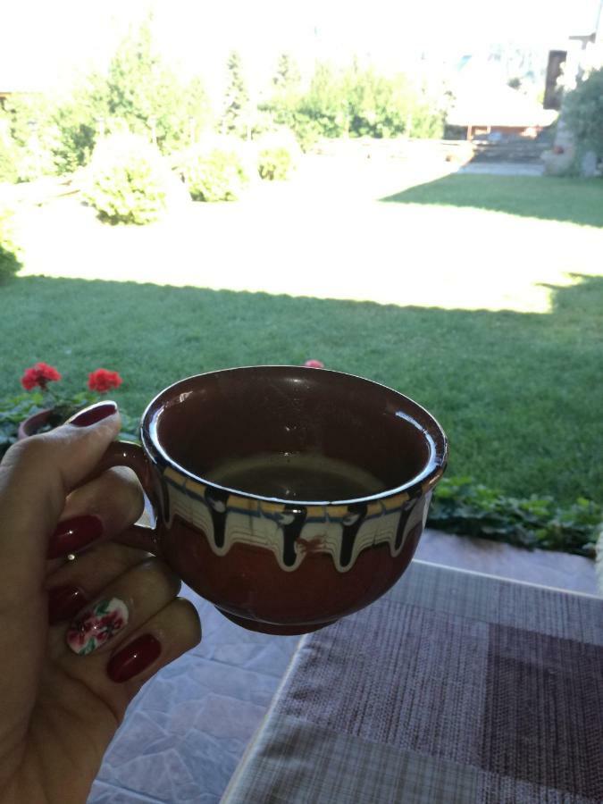 Радкината Къща Otel Koprivştitsa Dış mekan fotoğraf